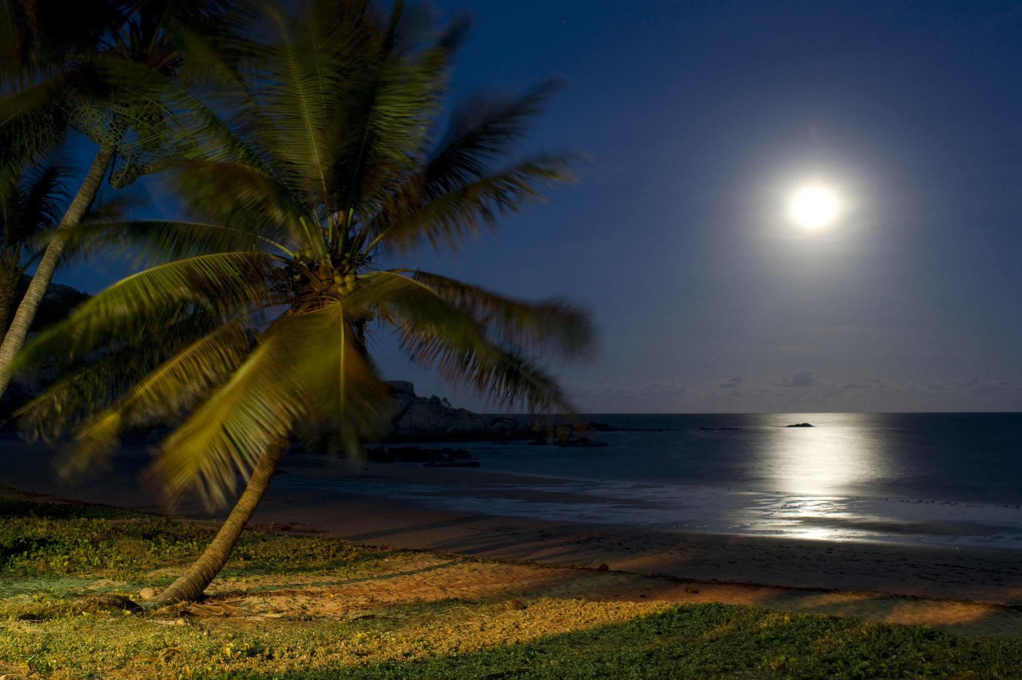 Rose Bay Resort Bowen Exteriér fotografie